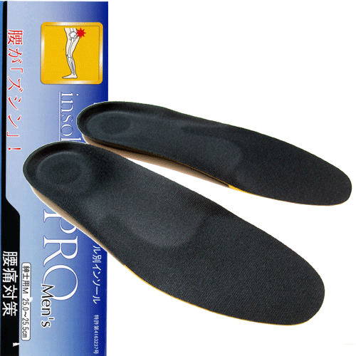 インソールプロ 腰痛対策 紳士用 insole pro